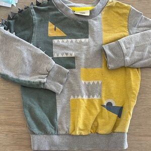 Kids Dinosaur Graphic Sweatshirt - Gray, Green, Yellow